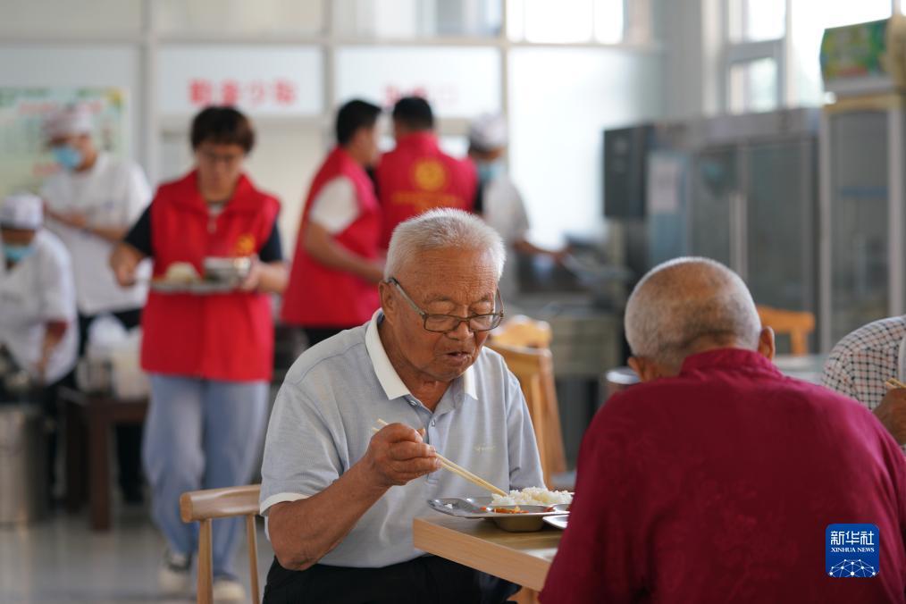 八达国际网址是多少